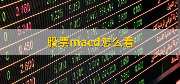 股票macd怎么看