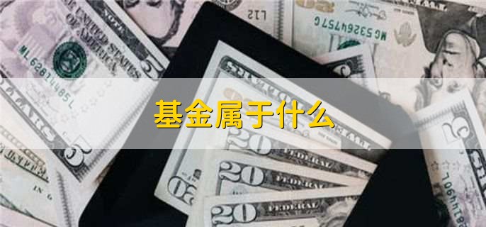 基金属于什么，金融工具