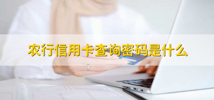 农行信用卡查询密码是什么