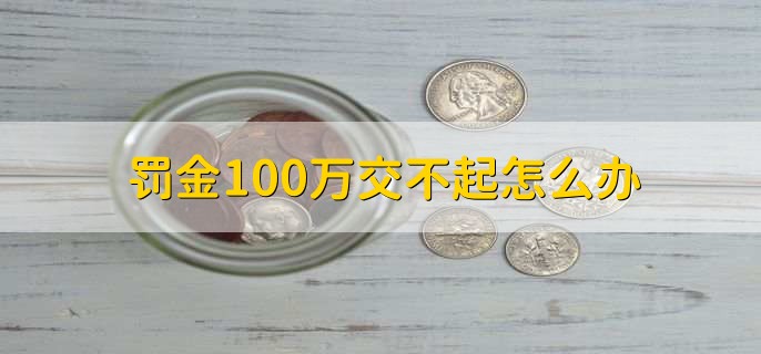 罚金100万交不起怎么办