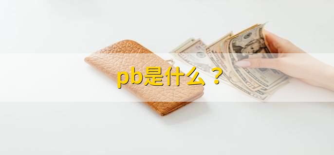 pb是什么？