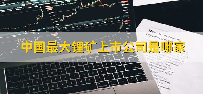 中国最大锂矿上市公司是哪家