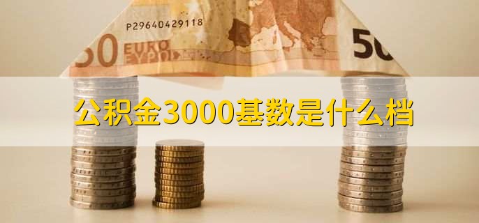 公积金3000基数是什么档